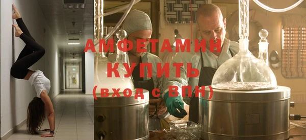 сатива Каменка
