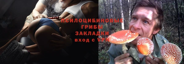 сатива Каменка