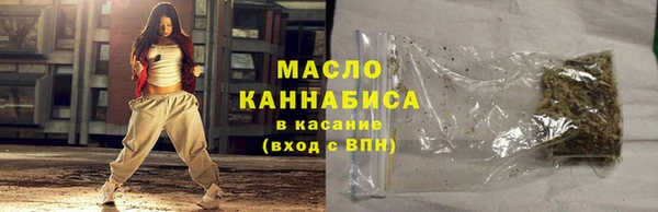 сатива Каменка