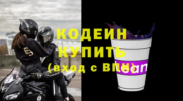 сатива Каменка