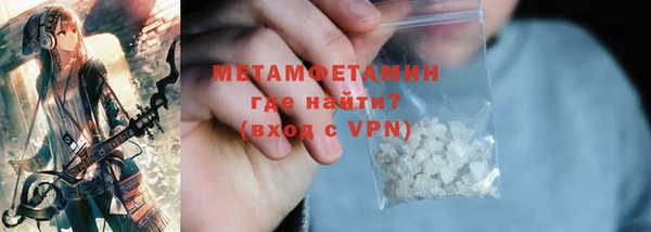 сатива Каменка