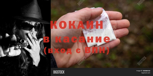 сатива Каменка