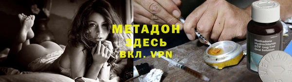 сатива Каменка