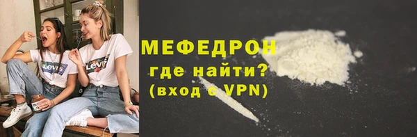 сатива Каменка