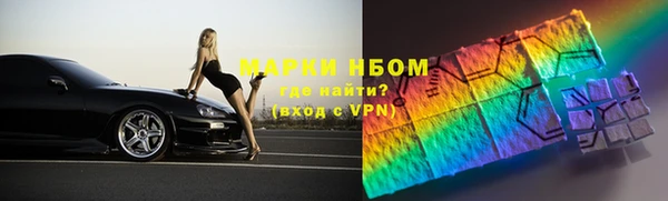 сатива Каменка