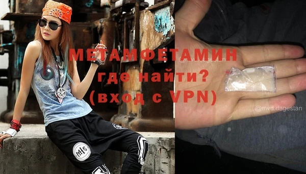 сатива Каменка