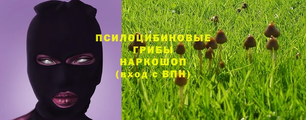 гашишное масло Каменск-Шахтинский