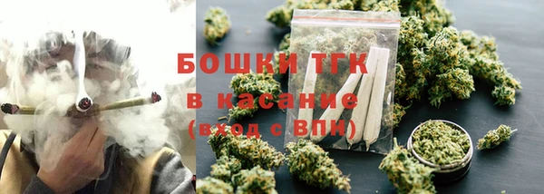 сатива Каменка